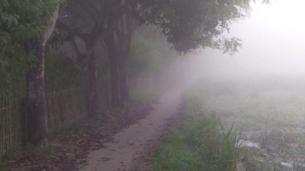 পঞ্চগড়ে শীতের আগমনী হাওয়া, তাপমাত্রা নামল ১৪ ডিগ্রিতে